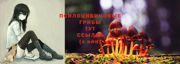 дурь Новозыбков