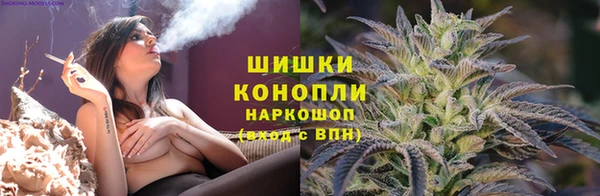 тгк Новокубанск