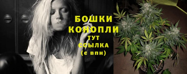 тгк Новокубанск