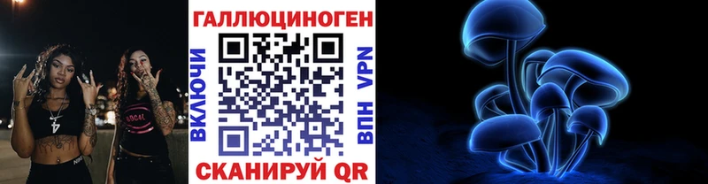 купить закладку Опочка Галлюциногенные грибы Psilocybine cubensis